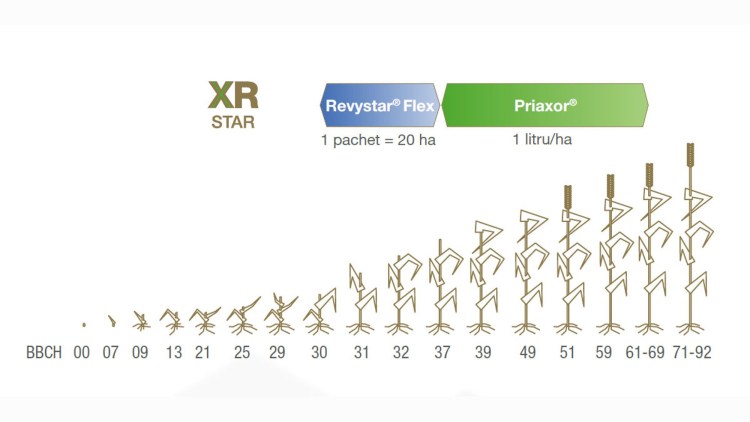 aplicare XR Star