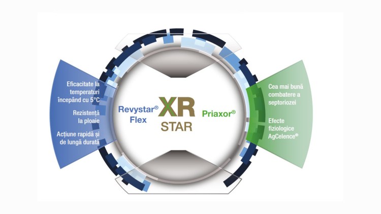 beneficii XRStar BASF