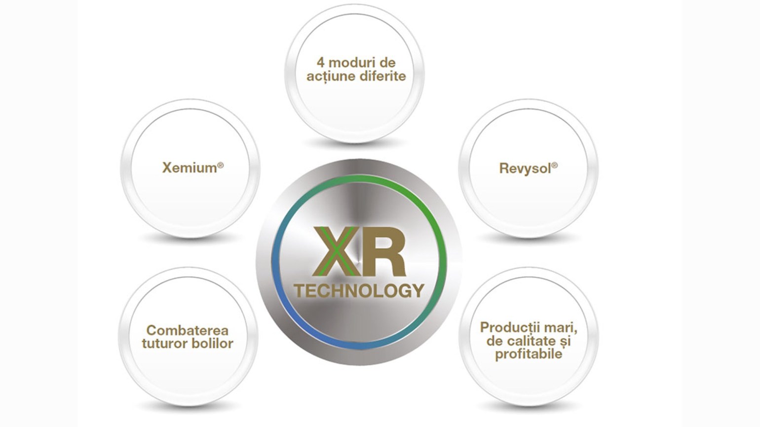 tehnologia XR de la BASF