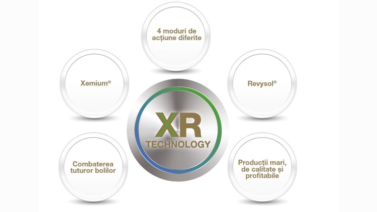 tehnologia XR de la BASF