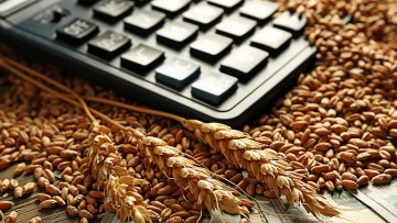 Calculator cereale