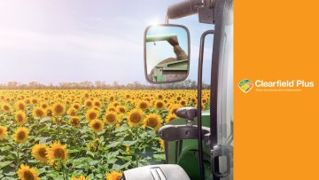 Sistemul de producție Clearfield® Plus la floarea-soarelui