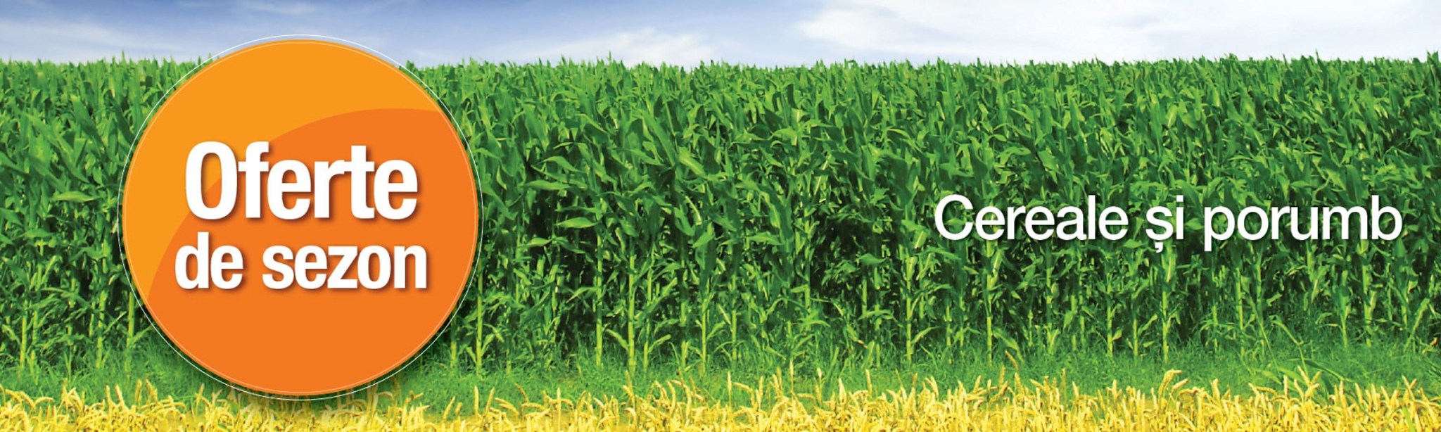 cereale porumb oferte