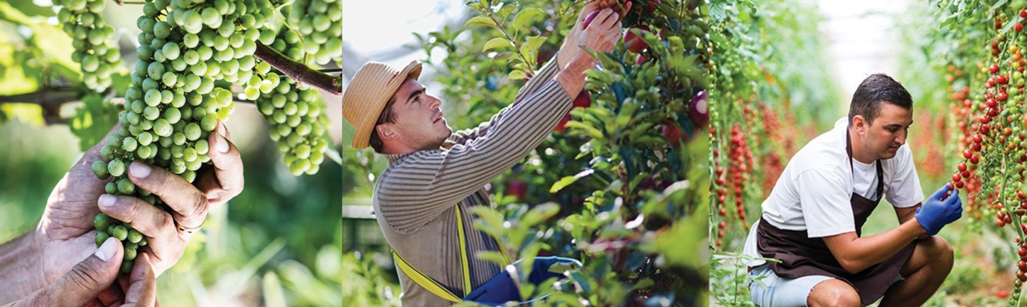 smart technology basf