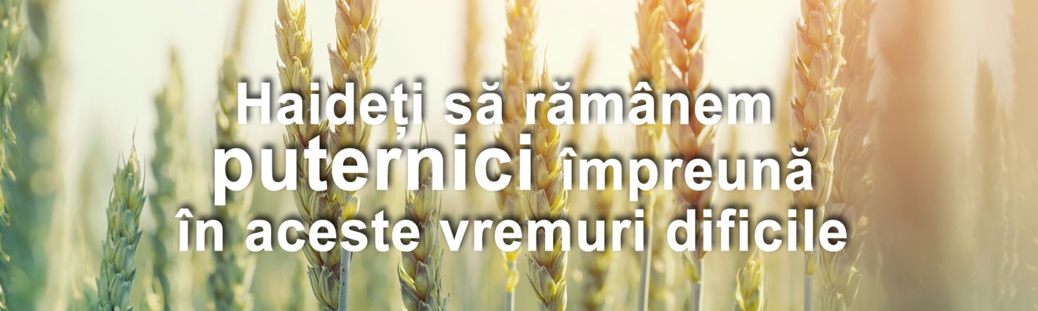 basf multumim fermierilor