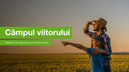 Câmpul viitorului
