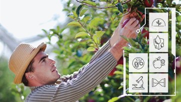 solutii fitosanitare pomicultura