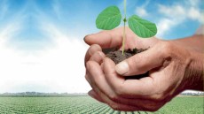 Produse pentru recolte mari și de calitate