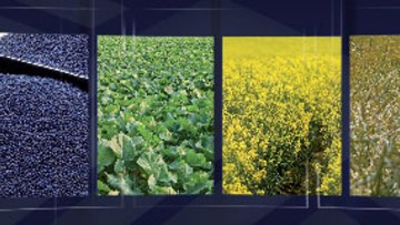 Sistemul de producție Clearfield®