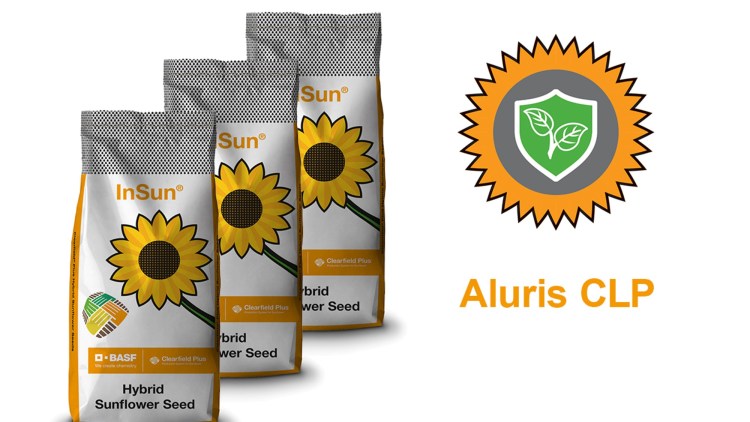 hibrid basf aluris