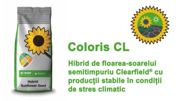 Coloris CL