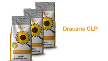 Dracaris CLP