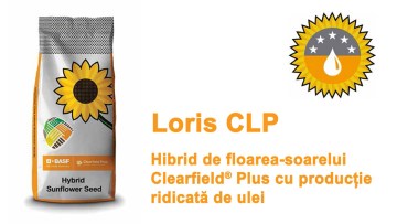 Loris CLP