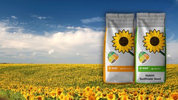 Alege hibrizii de floarea-soarelui de la BASF! 