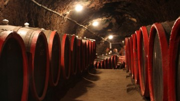 butoaie de vin in crama