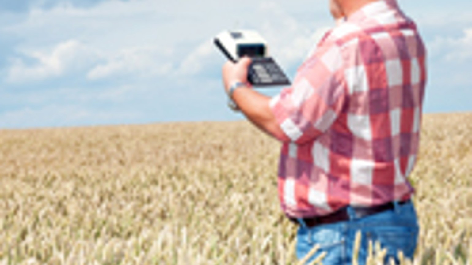 SubvenÈ›iile Apia Cum Se AcordÄƒ È™i Cine BeneficiazÄƒ De Ele Basf Agricultural Solutions Romania