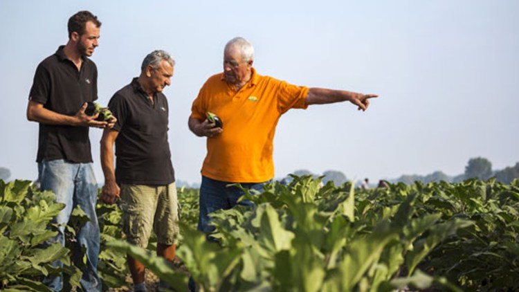 Agricultură, cu... (bună)știință! - BASF Agricultural România