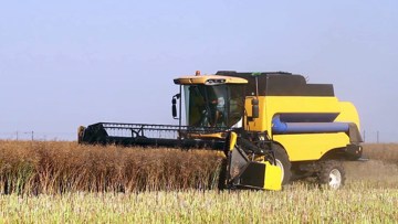 Cum poți obține peste 5.000 de kilograme de rapiță la hectar folosind tehnologia BASF