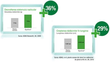 dezvoltare sistem radicular