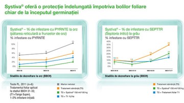 boli foliare germinatie