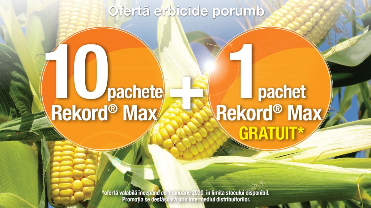 oferta rekord max