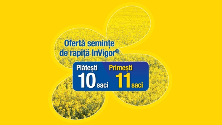oferta hibrizi invigor
