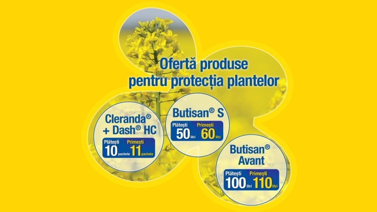 produse rapita