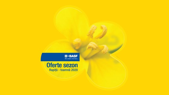 oferte rapita toamna basf