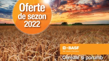oferte sezon cereale porumb basf