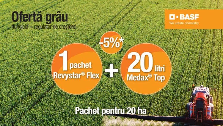oferta cereale grau