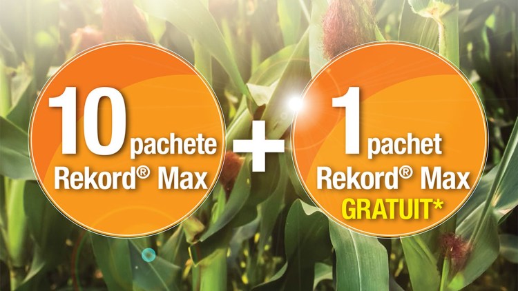 oferta rekord max basf