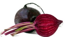Sfeclă roșie, țelină, hrean, ridichi, păstârnac, pătrunjel de rădăcină, etc